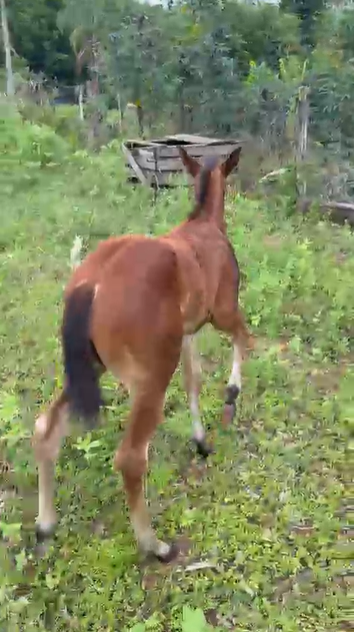 A ESCOLHER - Imagem 3